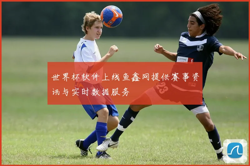 世界杯软件上线鱼鑫网提供赛事资讯与实时数据服务