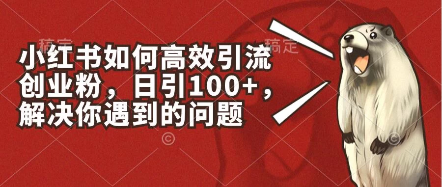 小红书如何高效引流创业粉，日引100+，解决你遇到的问题-众合网