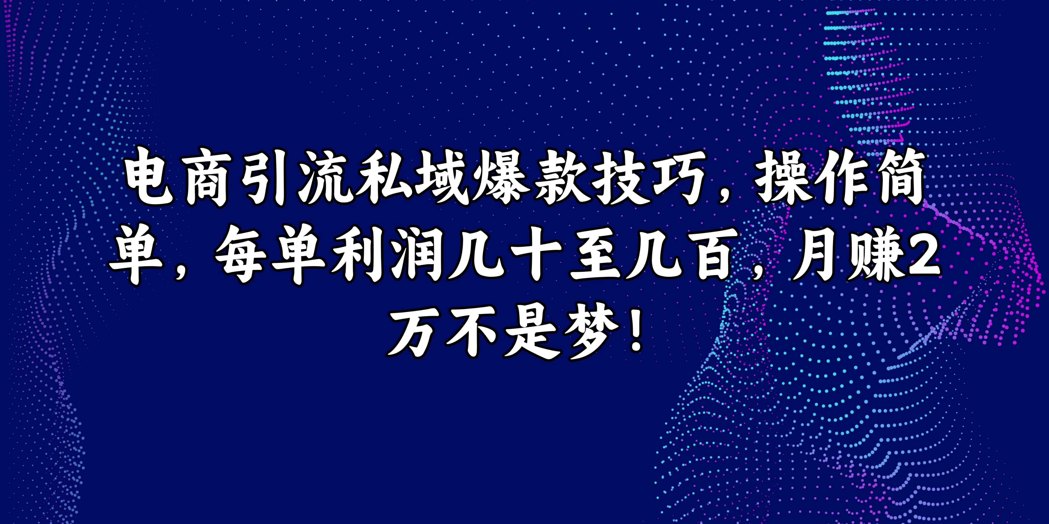 电商引流私域爆款技巧，操作简单，每单利润几十至几百，月赚2万不是梦！-众合网