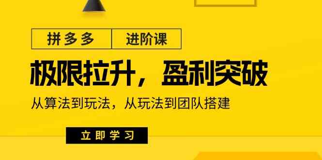 拼多多进阶课：极限拉升/盈利突破：从算法到玩法 从玩法到团队搭建（18节）-众合网