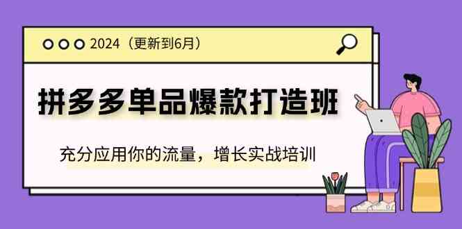 2024拼多多单品爆款打造班，充分应用你的流量，增长实战培训(更新6月)-众合网