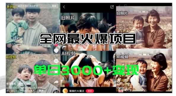 全网爆火的AI让老照片动起来教程，蹭热点日赚3k+，内含免费工具一键可生成【揭秘】-众合网