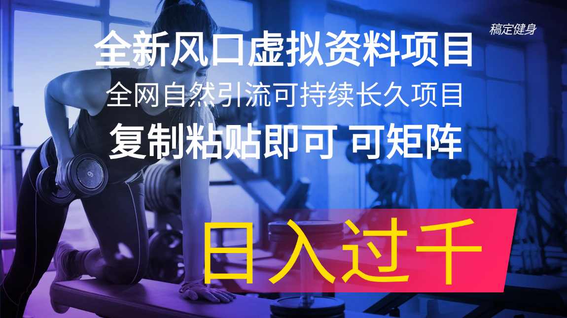 （11587期）全新风口虚拟资料项目 全网自然引流可持续长久项目 复制粘贴即可可矩阵…-众合网