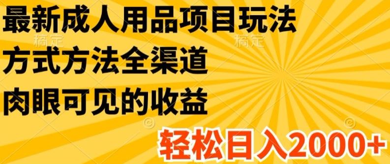 最新成人用品项目玩法，方式方法全渠道，轻松日入2K+【揭秘】-众合网