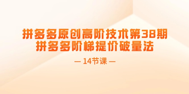 （11704期）拼多多原创高阶技术第38期，拼多多阶梯提价破量法（14节课）-众合网