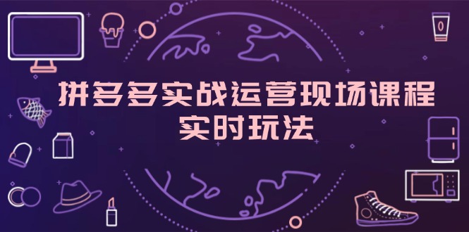 （11759期）拼多多实战运营现场课程，实时玩法，爆款打造，选品、规则解析-众合网