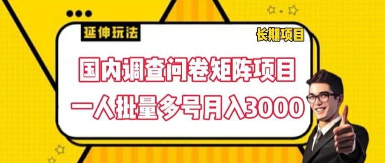 国内调查问卷矩阵项目，一人批量多号月入3000【揭秘】-众合网