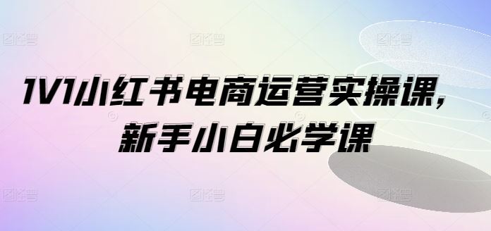 1V1小红书电商运营实操课，新手小白必学课-众合网