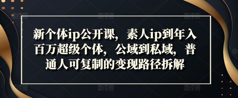 新个体ip公开课，素人ip到年入百万超级个体，公域到私域，普通人可复制的变现路径拆解-众合网