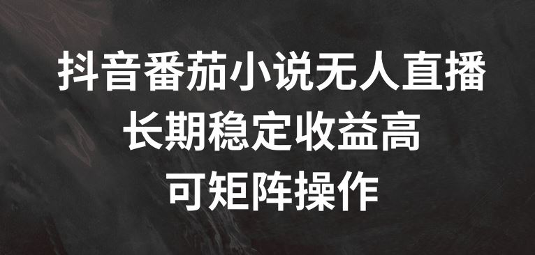 抖音番茄小说无人直播，长期稳定收益高，可矩阵操作【揭秘】-众合网