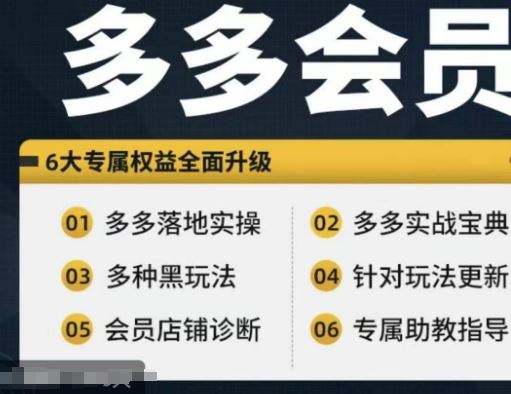 拼多多会员，拼多多实战宝典+实战落地实操，从新手到高阶内容全面覆盖-众合网