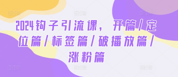 2024钩子引流课，开篇/定位篇/标签篇/破播放篇/涨粉篇-众合网