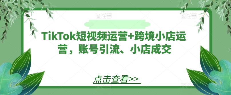 TikTok短视频运营+跨境小店运营，账号引流、小店成交-众合网