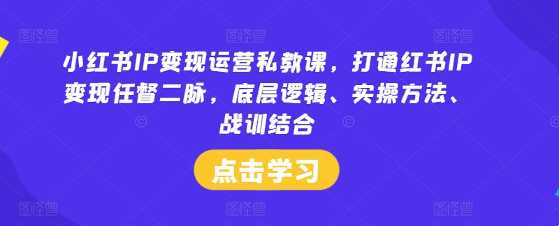 小红书IP变现运营私教课，打通红书IP变现任督二脉，底层逻辑、实操方法、战训结合-众合网