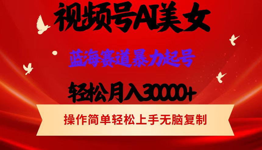 （12178期）视频号AI美女跳舞，轻松月入30000+，蓝海赛道，流量池巨大，起号猛，当…-众合网