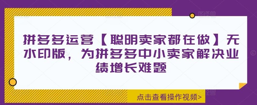 拼多多运营【聪明卖家都在做】无水印版，为拼多多中小卖家解决业绩增长难题-众合网