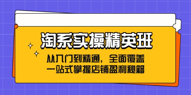 （12276期）淘系实操精英班：从入门到精通，全面覆盖，一站式掌握店铺盈利秘籍-众合网