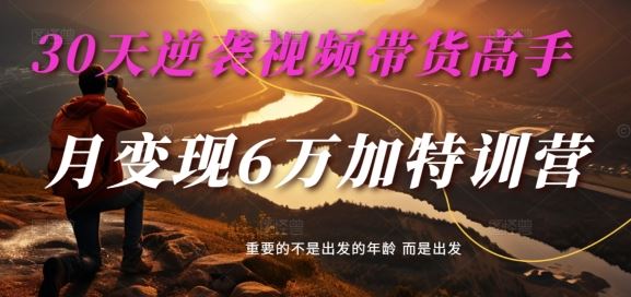 30天逆袭视频带货高手，单月变现6万加特训营-麦子甜-众合网