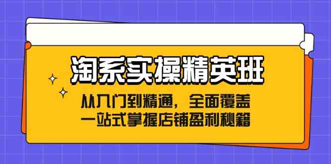 淘系实操精英班：从入门到精通，全面覆盖，一站式掌握店铺盈利秘籍-众合网