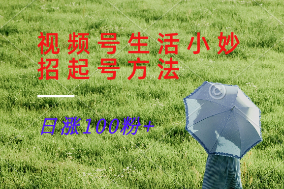 视频号生活小妙招分享赛道， 起号涨粉新方法，日涨100粉-众合网