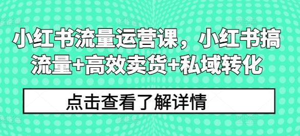 小红书流量运营课，小红书搞流量+高效卖货+私域转化-众合网