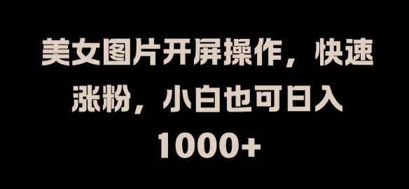 美女图片开屏操作，快速涨粉，小白也可日入1k【揭秘】-众合网