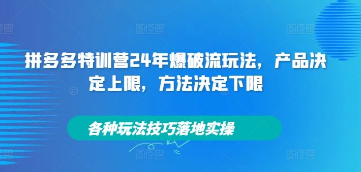 拼多多特训营24年爆破流玩法，产品决定上限，方法决定下限，各种玩法技巧落地实操-众合网