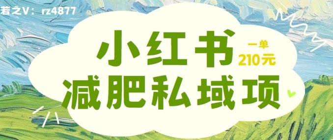 小红书减肥粉，私域变现项目，一单就达210元，小白也能轻松上手【揭秘】-众合网