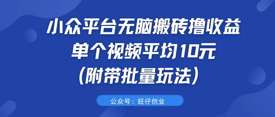 小众平台无脑搬砖撸收益，单个视频平均10元 (附带批量玩法）-众合网