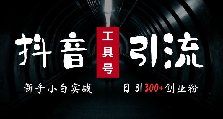 2024最新抖音工具号引流玩法，高效日引300+创业粉，当天变现5k，小白也可成为实战高手-众合网