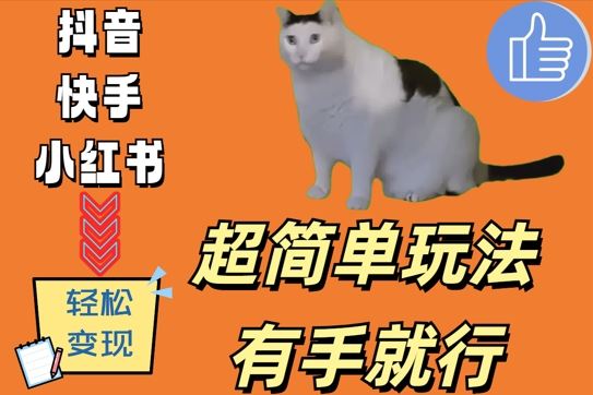 超简单玩法，有手就行，靠猫咪视频日入500+【揭秘】-众合网