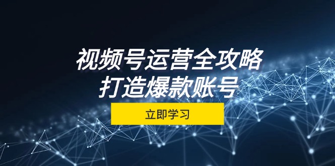 （12912期）视频号运营全攻略，从定位到成交一站式学习，视频号核心秘诀，打造爆款…-众合网