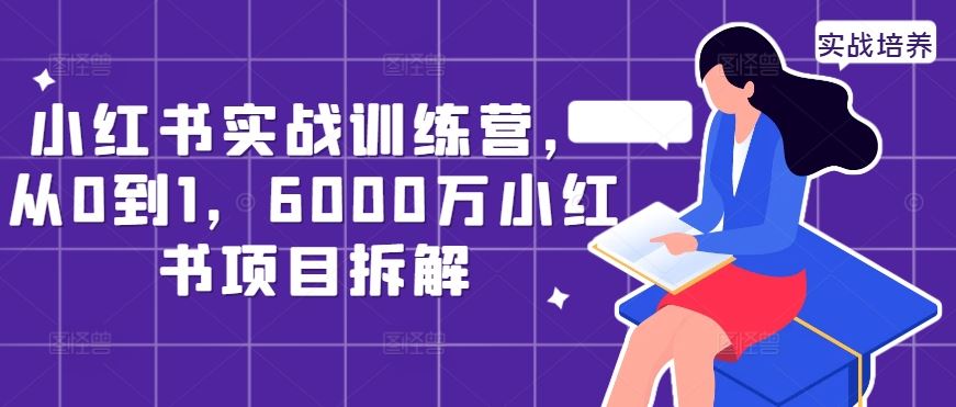 小红书实战训练营，从0到1，6000万小红书项目拆解-众合网